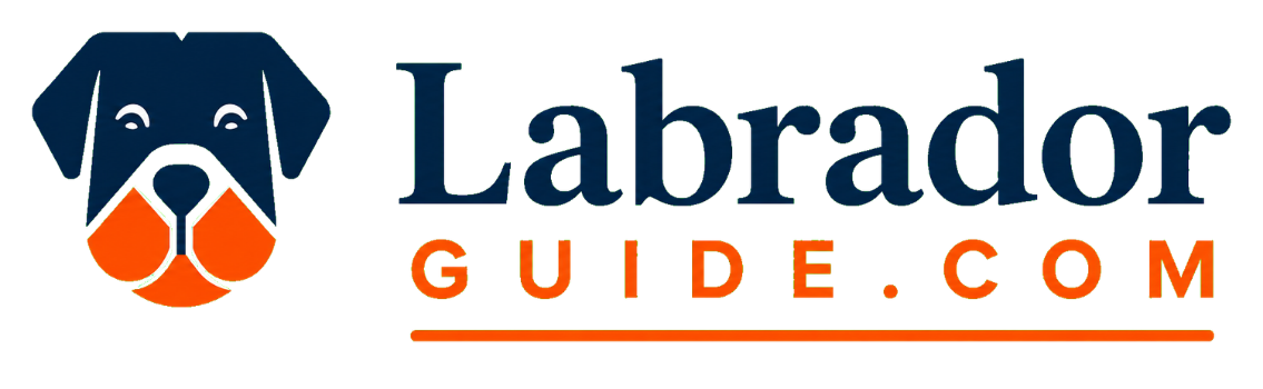 Labrador Guide