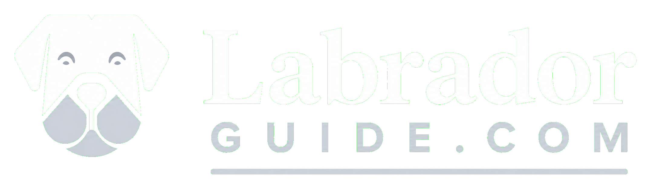 Labrador Guide